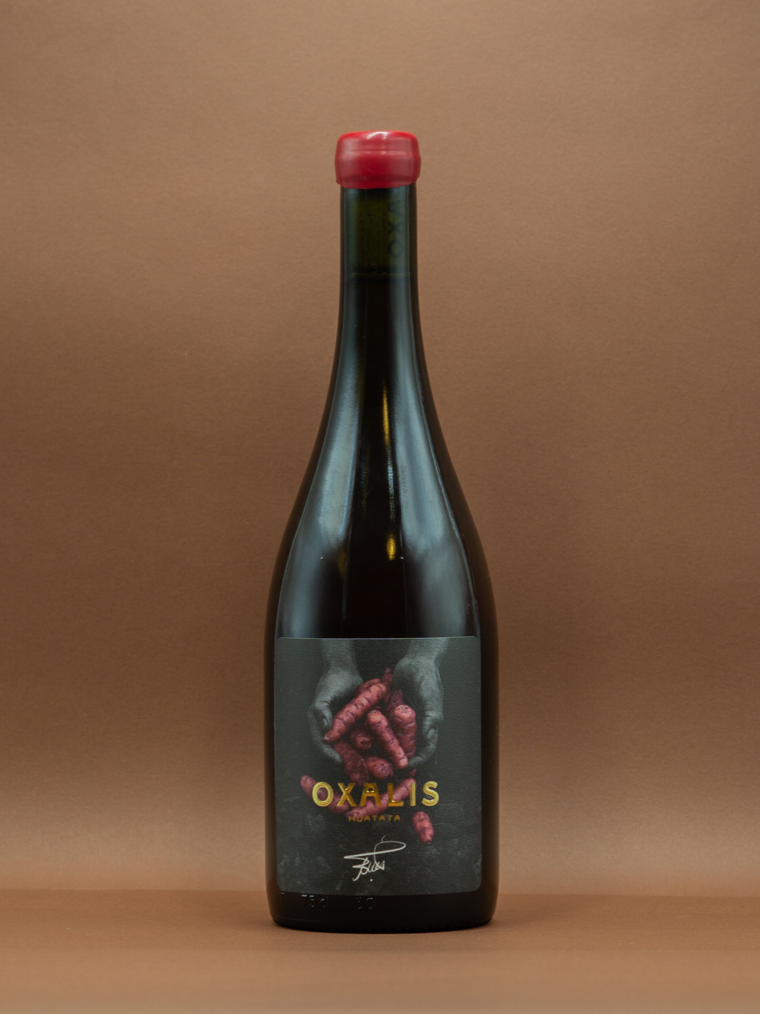 bebida fermentada de oca oxalis rose