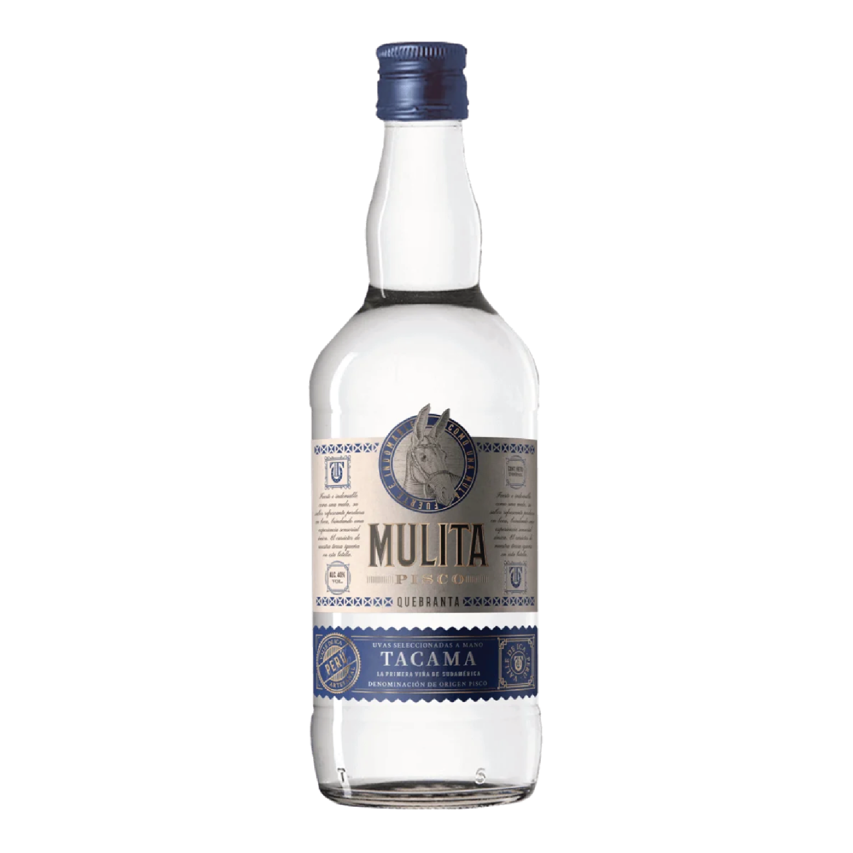 Pisco Mulita