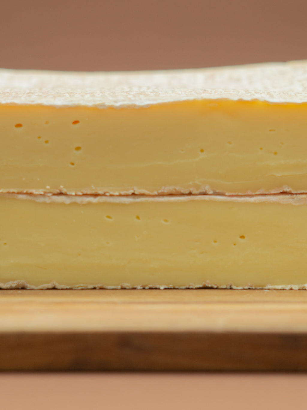 queso taleggio chacas ancash