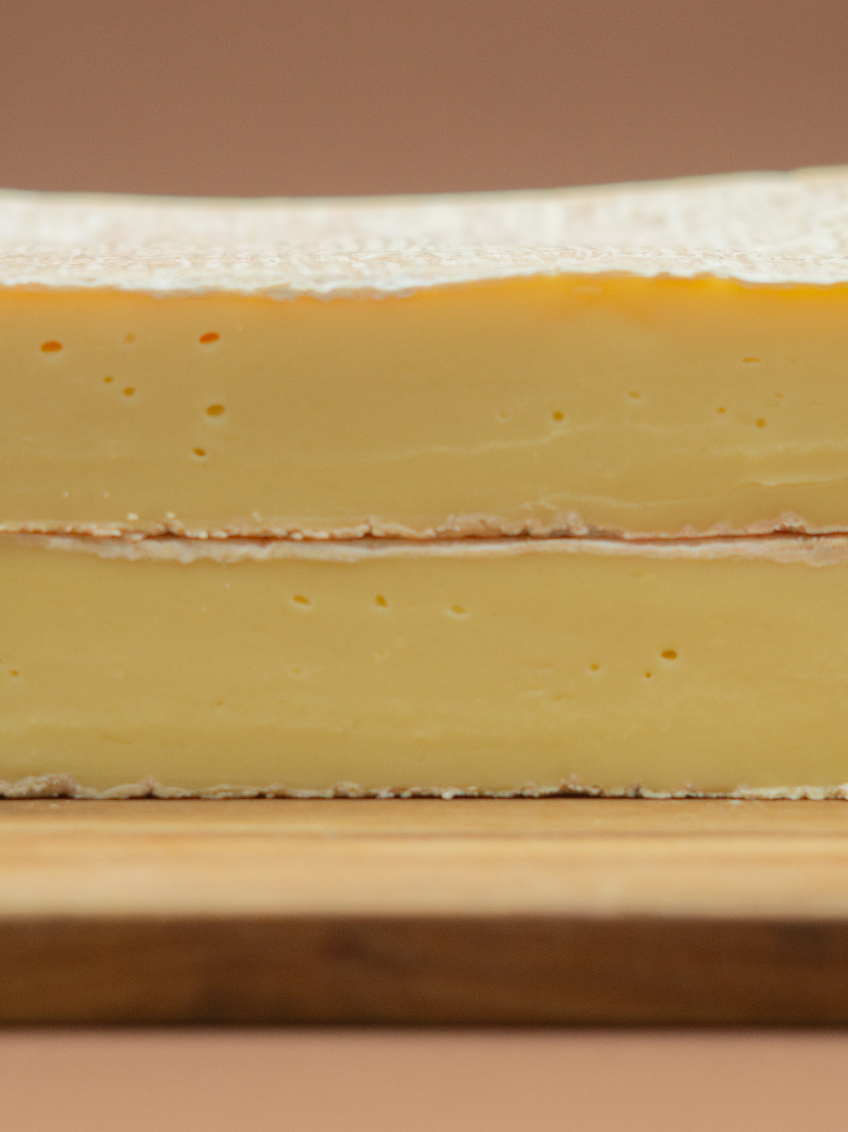 queso taleggio chacas ancash